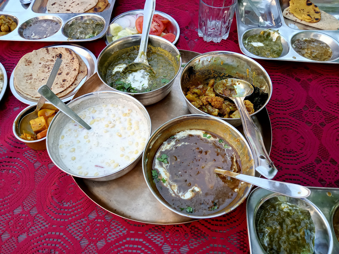 Rare Punjab - Amritsar Village Tours-阿姆利则必去景点