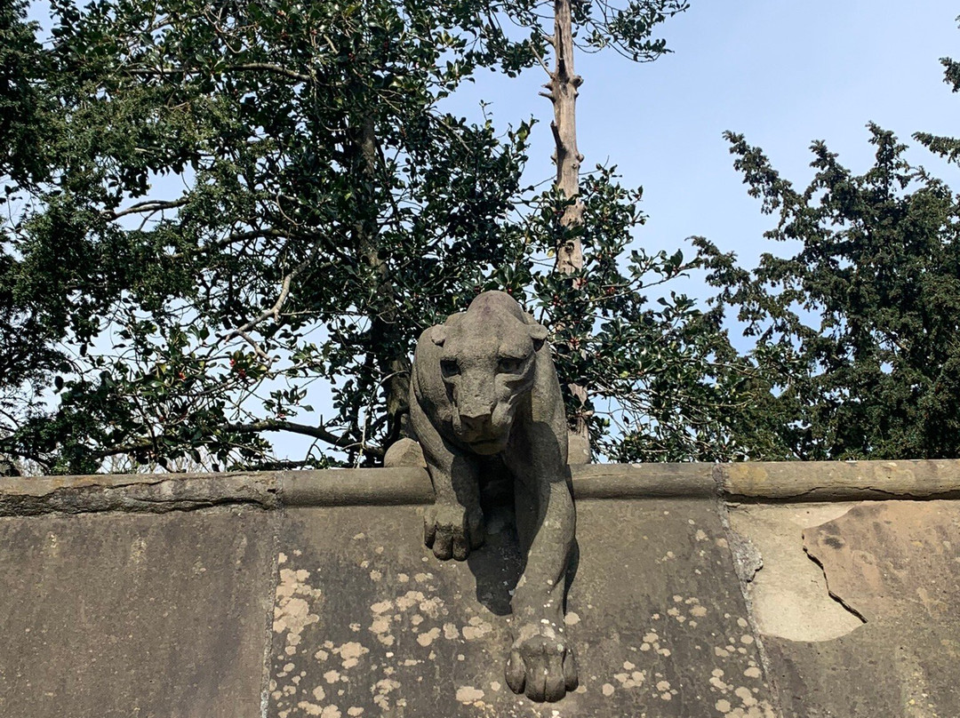 The Animal Wall景点图片