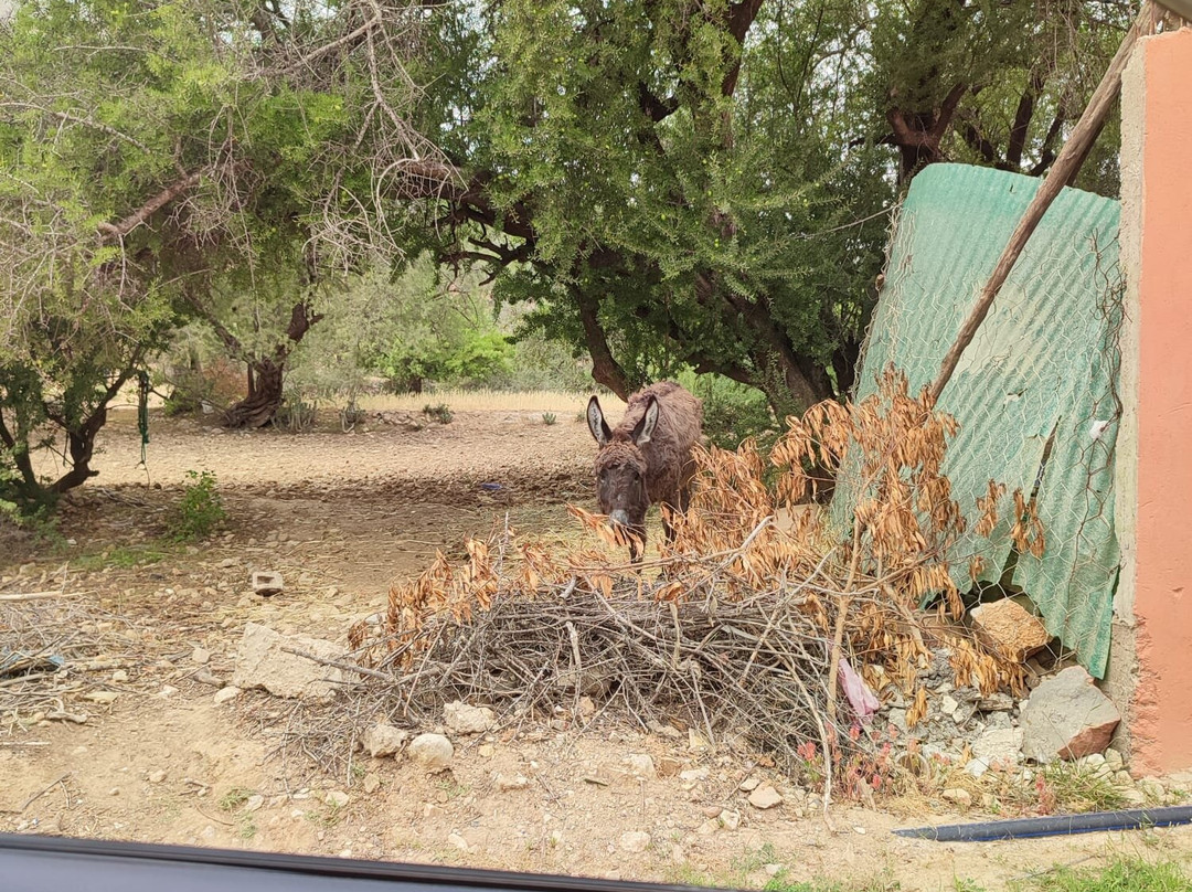 Cascades-Imouzzer des Ida Outanane必去景点