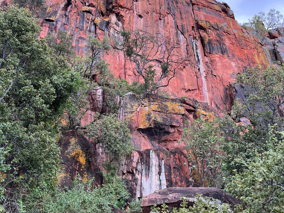 Waterberg National Park-奥奇瓦龙戈必去景点