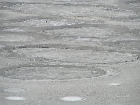 Spotted Lake景点图片