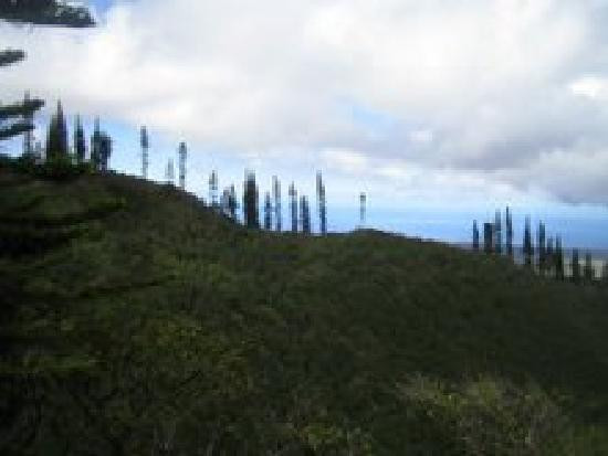 门罗小径-拉奈市必去景点