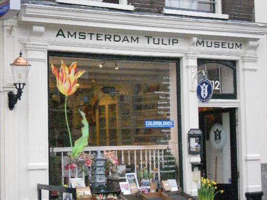 阿姆斯特丹郁金香博物馆-阿姆斯特丹必去景点