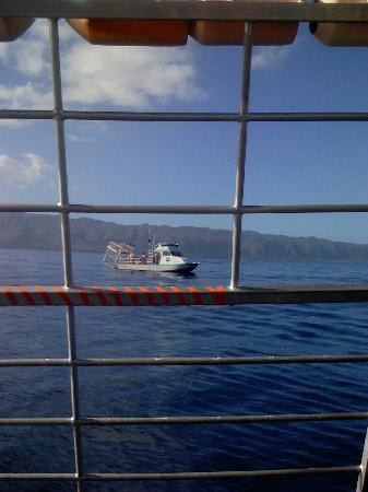 北岸鲨鱼历险记-哈雷瓦必去景点