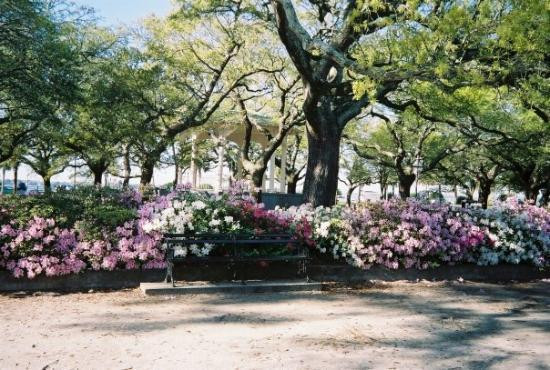 查尔斯顿滨水公园-查尔斯顿必去景点