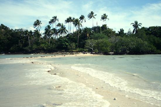 Snake Island-爱妮岛必去景点
