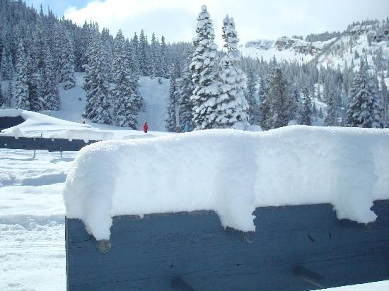 Aspen Snowmass-斯诺马斯村必去景点