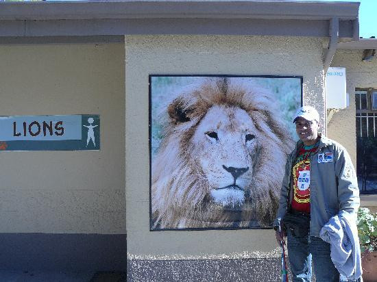 Lion and Safari Park-Broederstroom必去景点