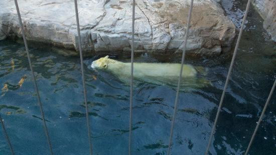 Reid Park Zoo-图森必去景点