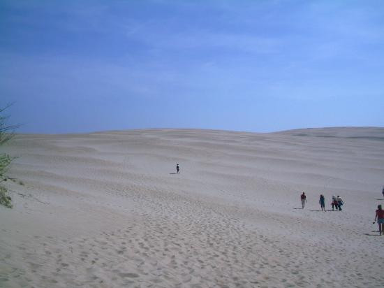 Jockey's Ridge State Park景点图片