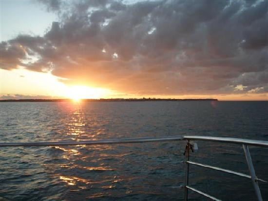 Blue Dolphin Marine Tours-尤兰根必去景点