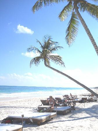 Ana y Jose Beach Club-图伦必去景点