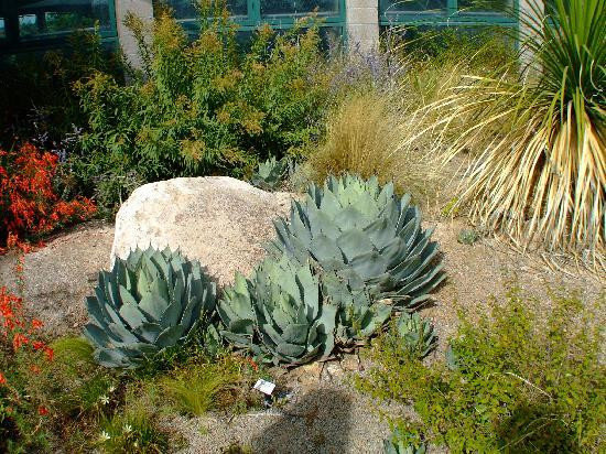 ABQ BioPark Botanic Garden-阿尔伯克基必去景点