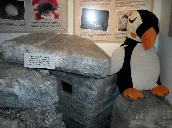 Project Puffin Visitor Center景点图片