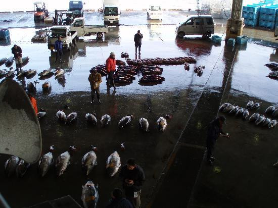 Kesennuma Fish Market-气仙沼市必去景点