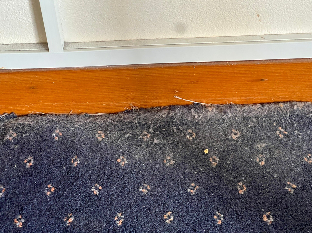 Alloggio Tudor Hamilton主图