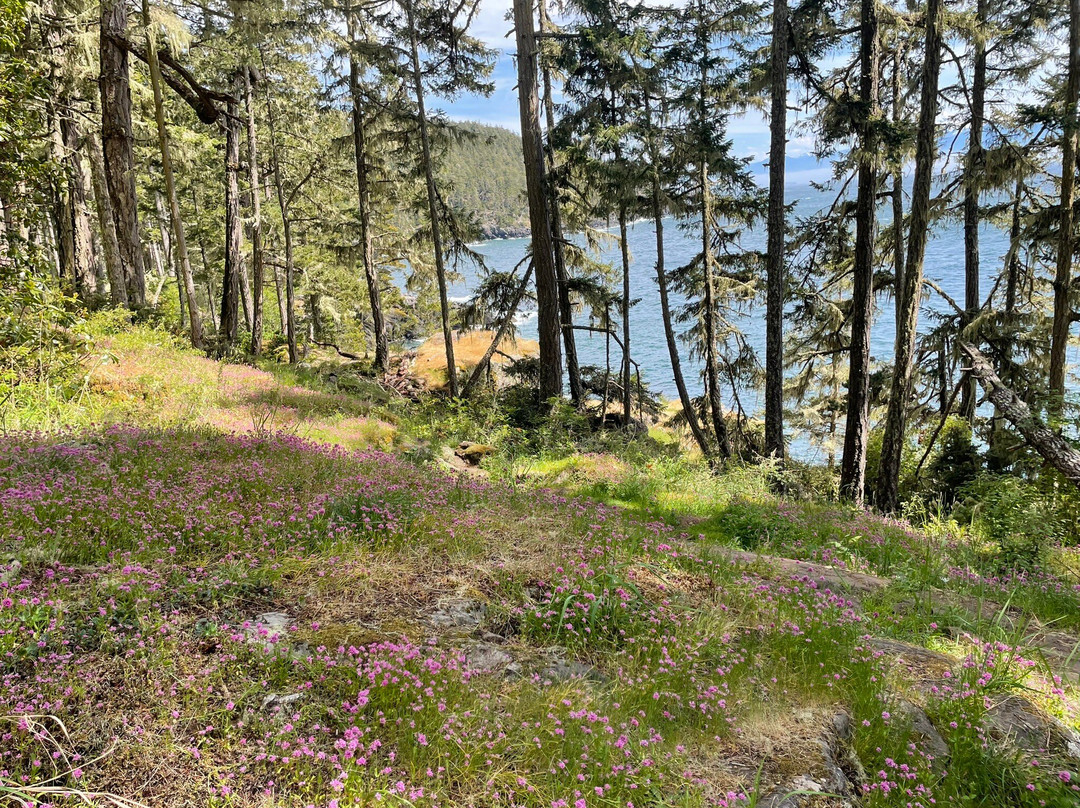 East Sooke Regional Park景点图片