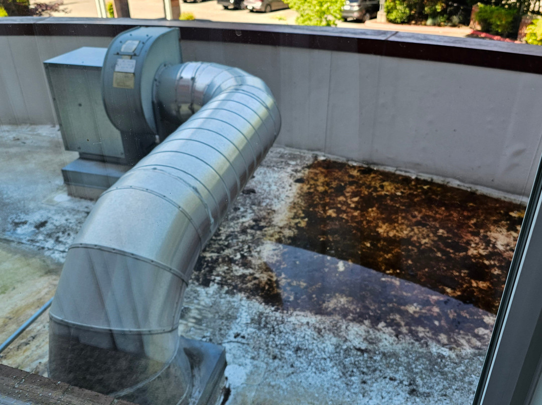 波赛尔/西雅图希尔顿花园酒店主图