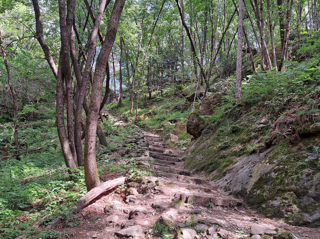 Parco delle Marmitte dei Giganti-Chiavenna必去景点