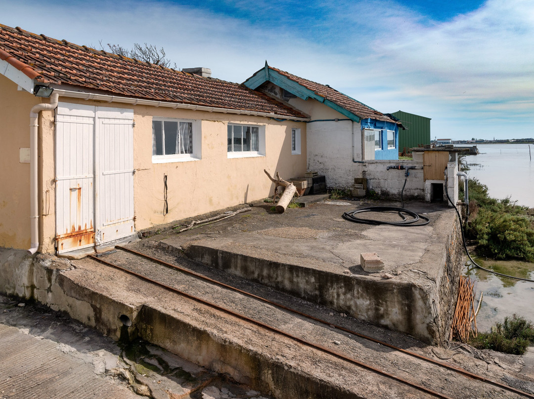 Port Ostréïcole De Marennes景点图片