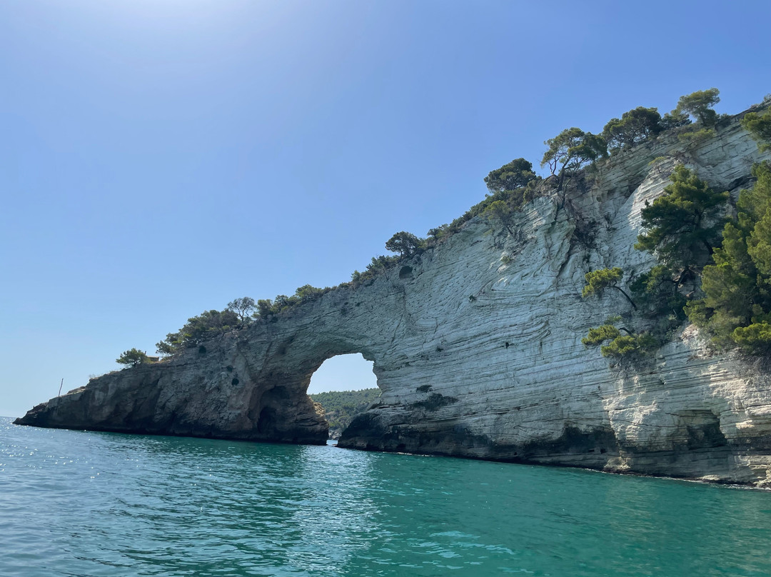 Effettigargano-维耶斯泰必去景点