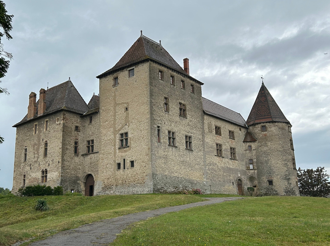 Chateau de Septeme景点图片