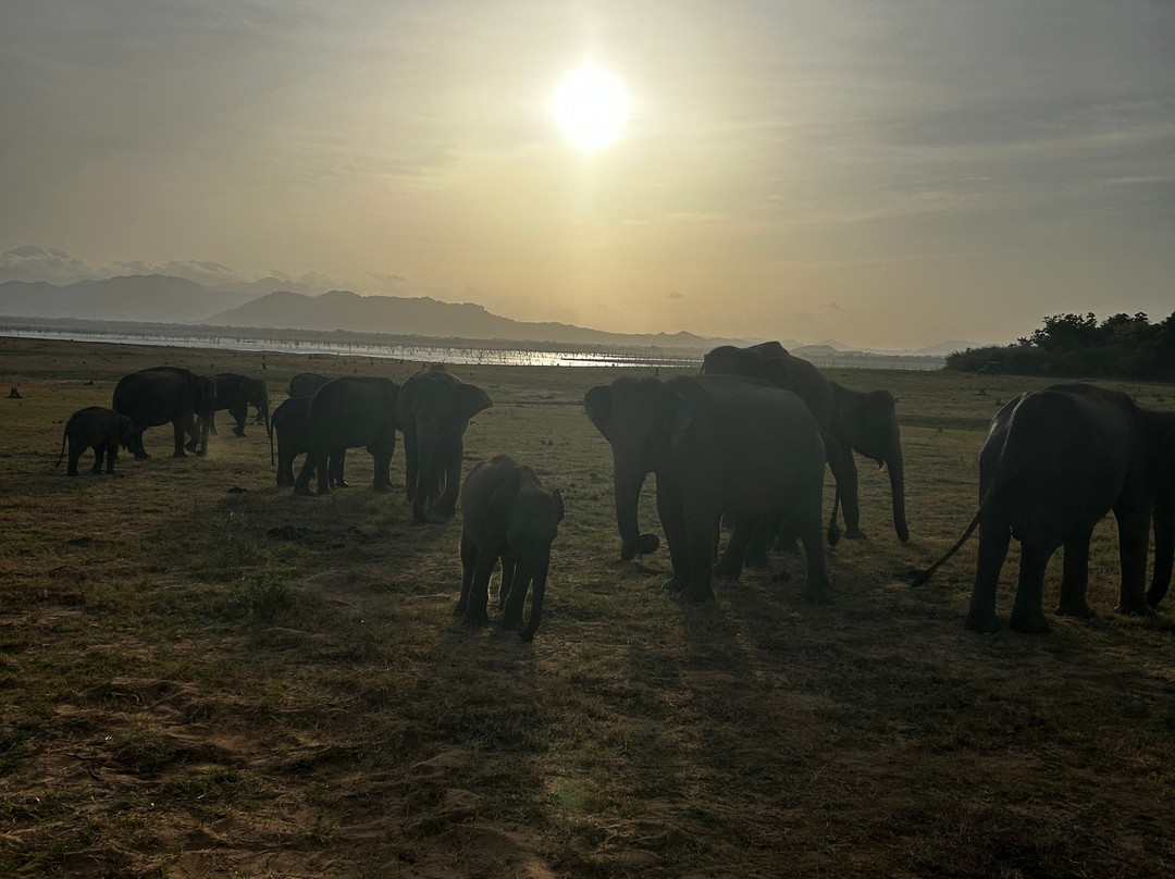 Karu's Guest House主图