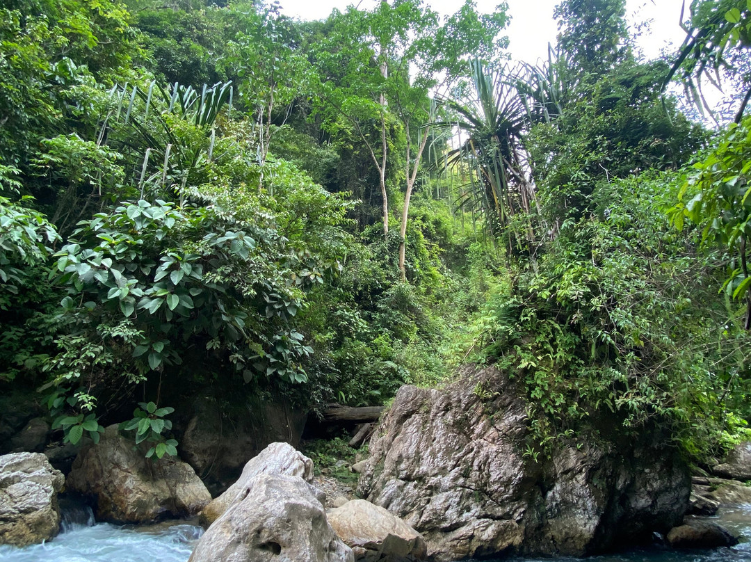 Ketambe Suherman Jungle景点图片
