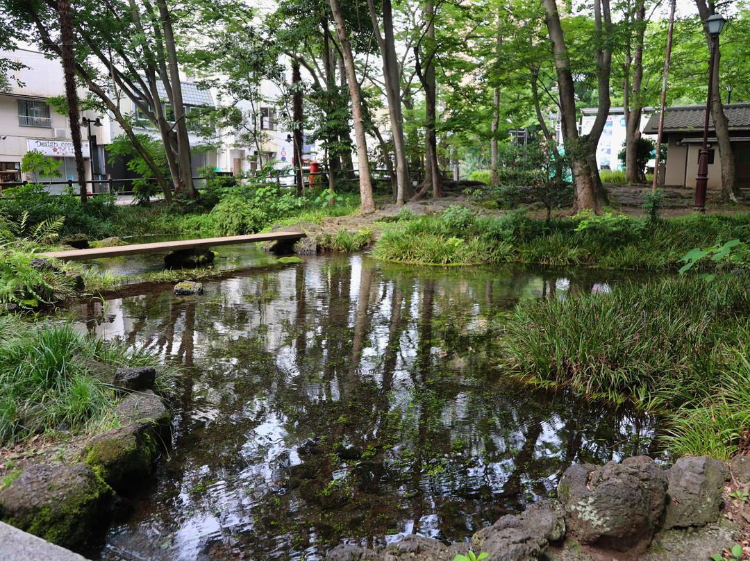 Shirataki Park-三岛市必去景点