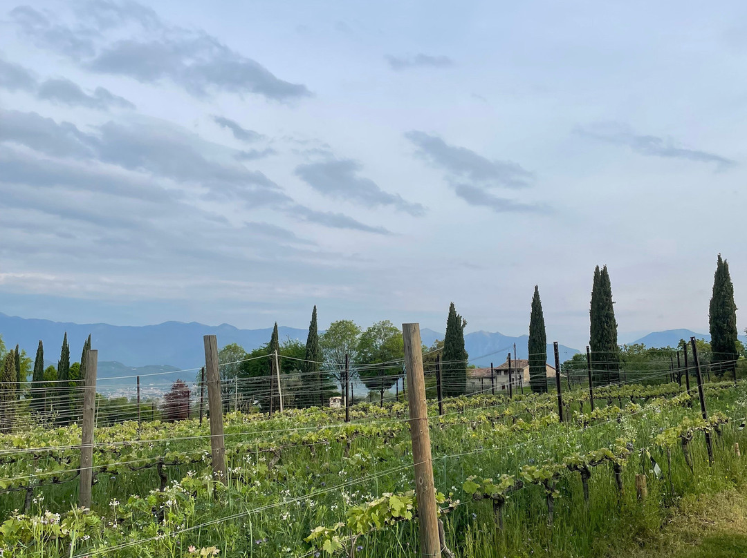 Maso Di Villa Relais Di Campagna主图