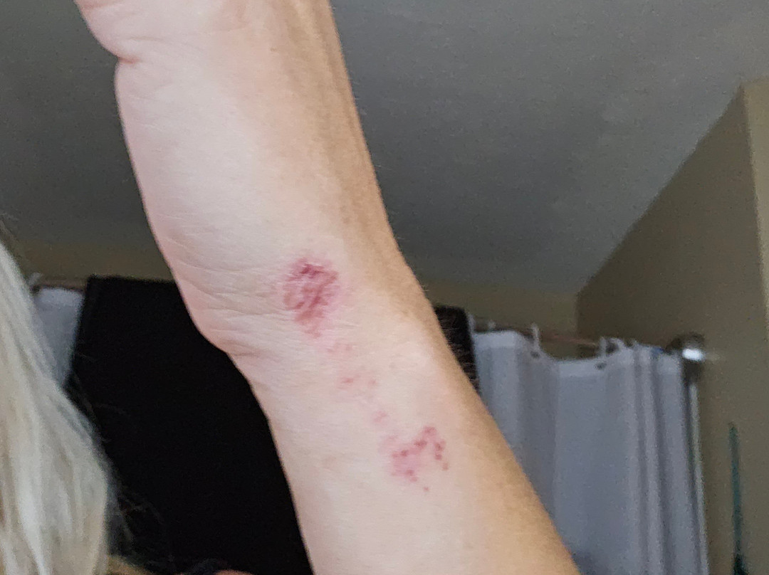 Mountain Aire Inn主图