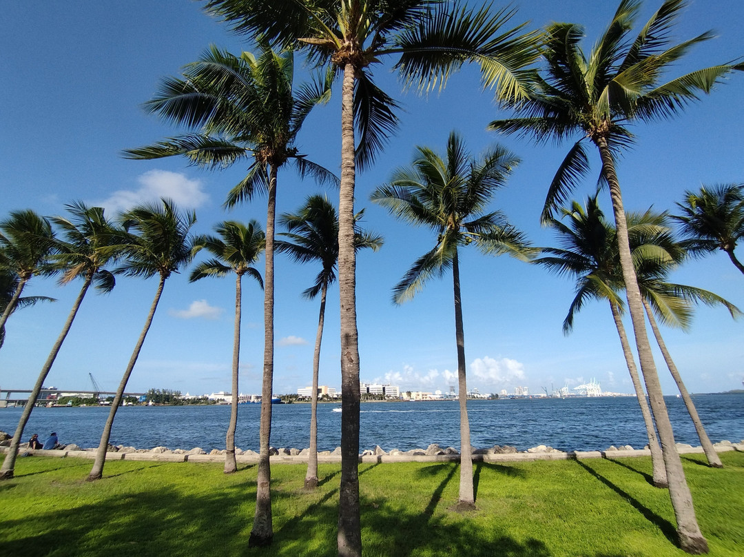 Miami Beach Marina景点图片