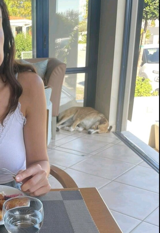 Olympic Star Beach Hotel主图