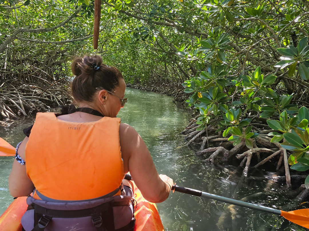 Sea Kayak Adventures景点图片