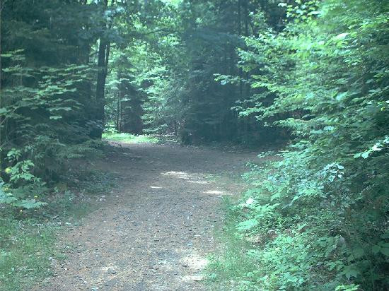 Moose Point State Park景点图片