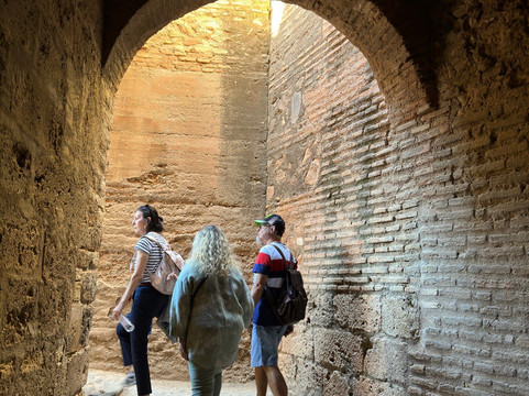 Tour privado Alhambra evite colas (incluido Ticket de palacios nazaries y Generalife)-格拉纳达必去景点