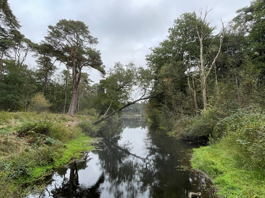 Oisterwijkse Bossen en Vennen-Oisterwijk必去景点