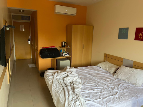 迈索尔姜酒店主图