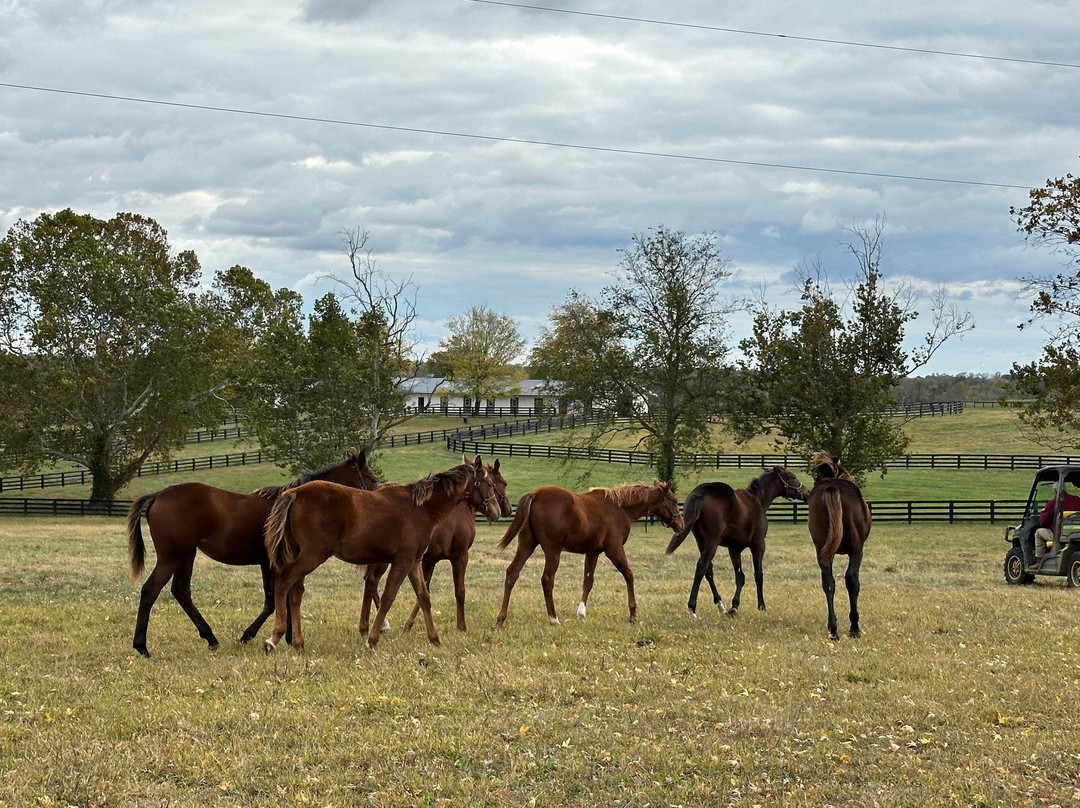 The Guesthouse at Rosecrest Farm主图