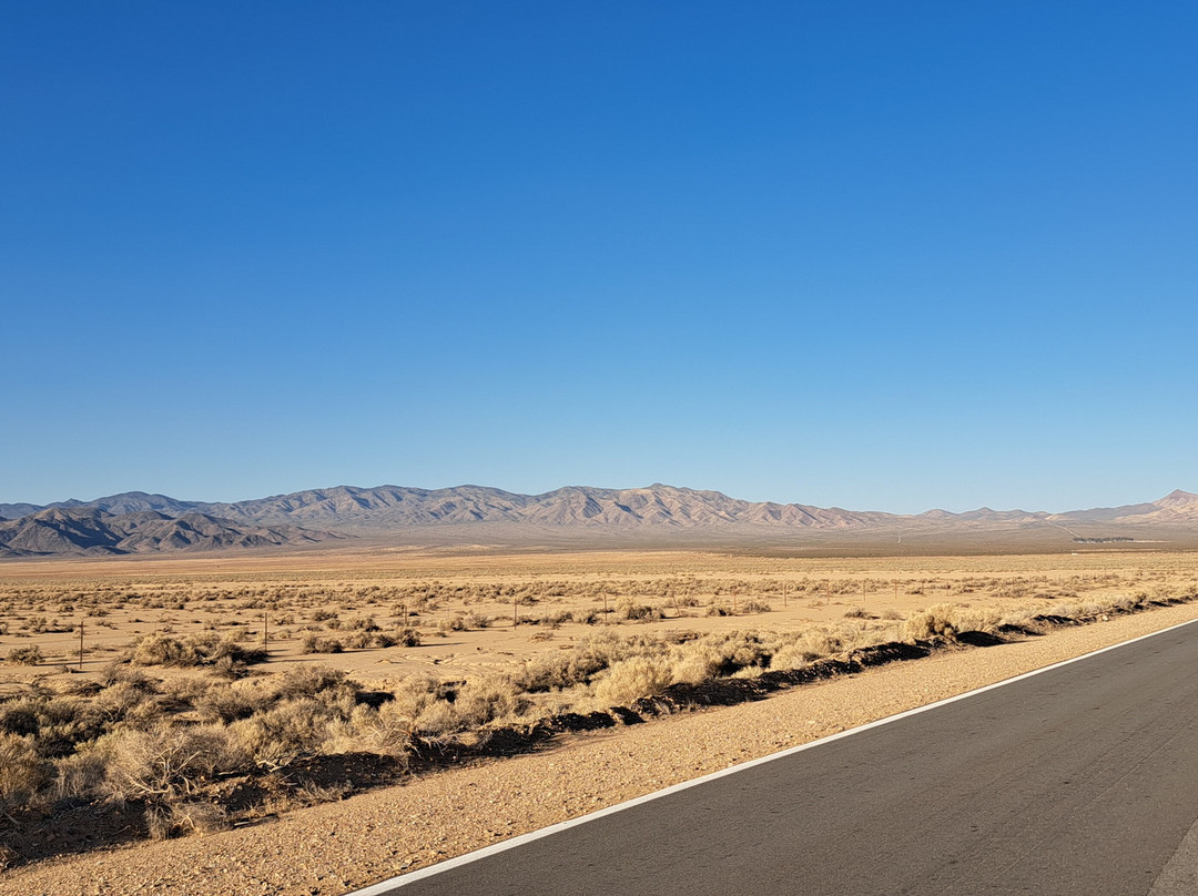 Mojave National Preserve景点图片