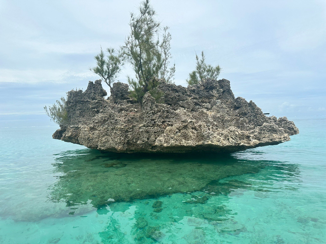 Sud Tropical