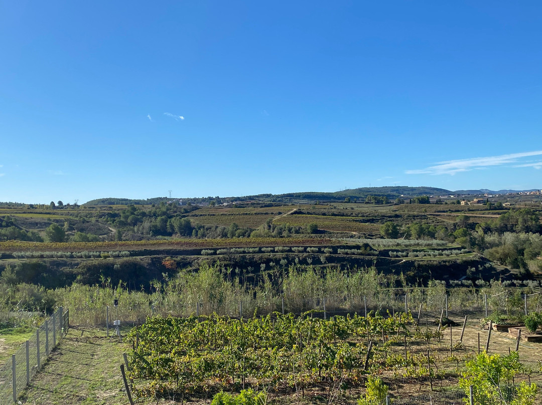 Food Lovers Company-巴塞罗那必去景点