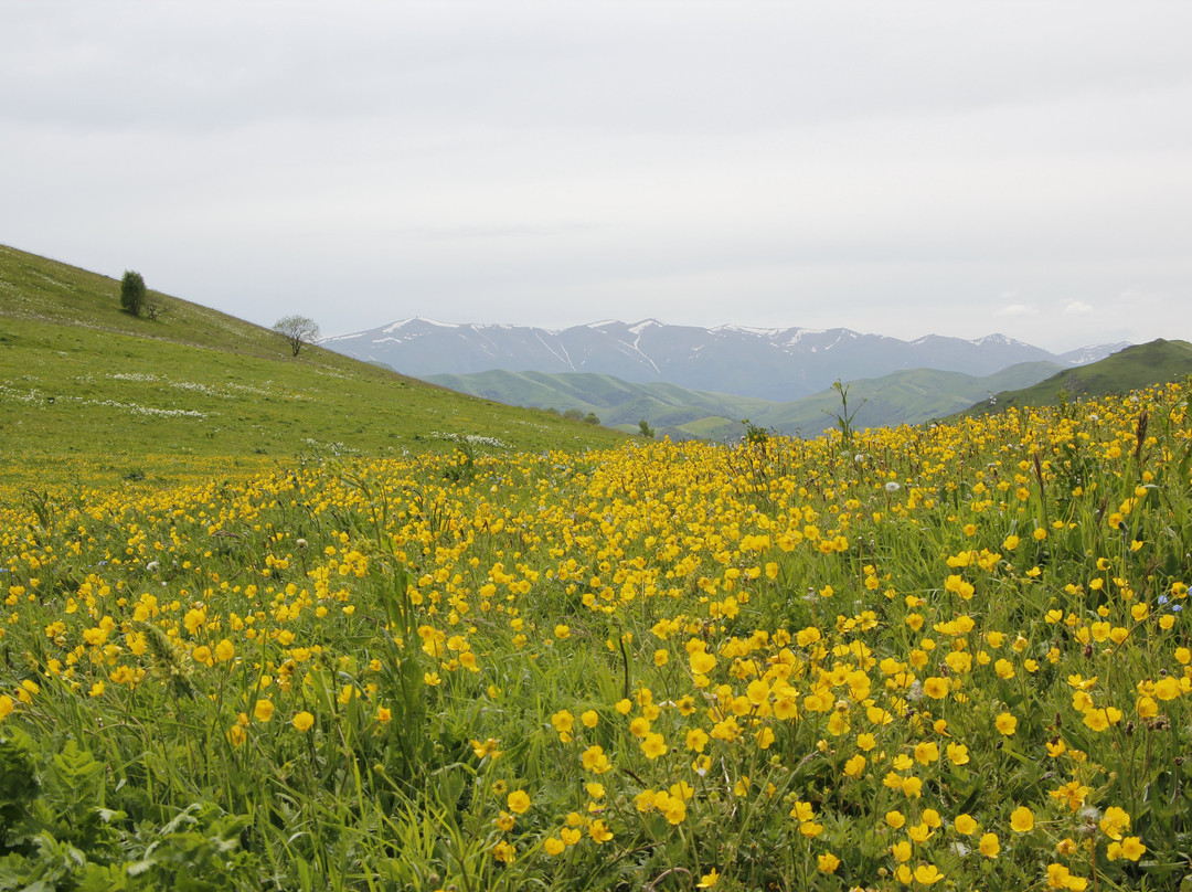 Dilijan National Park景点图片