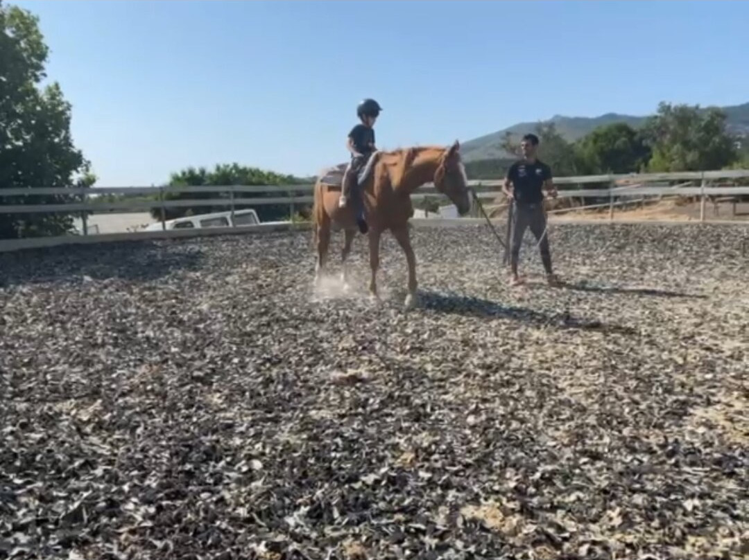 Equi Cascais-卡斯凯什必去景点