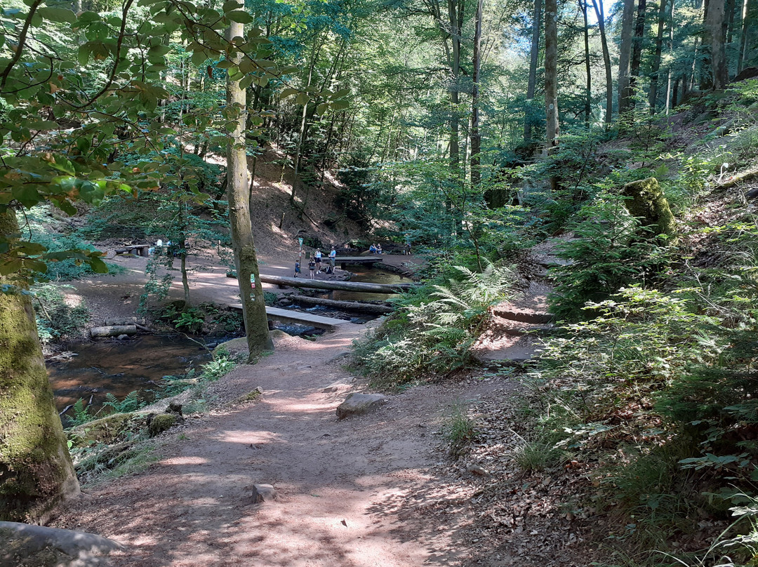 Rundwanderweg Karlstalschlucht景点图片