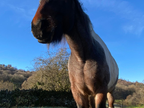 Full circle experiences-安布赛德必去景点