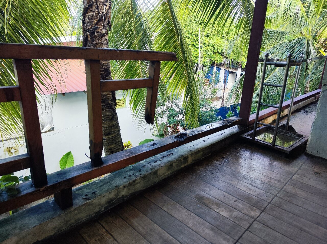 Bougainvillea Inn - Maldives主图