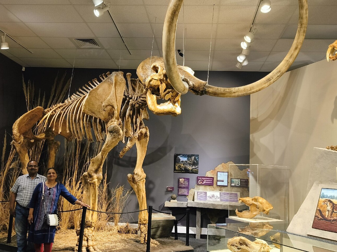 Herrett Center for Arts and Science-特温福尔斯必去景点