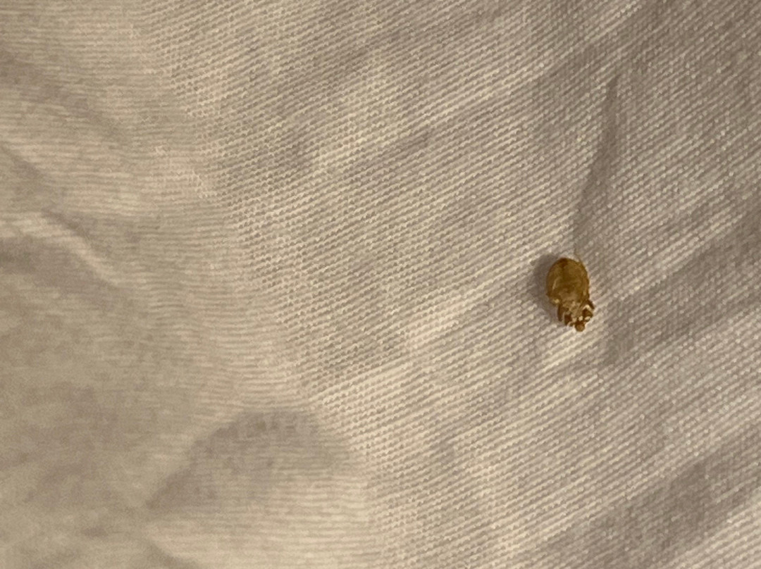 Hampton Inn Atlanta/Newnan主图