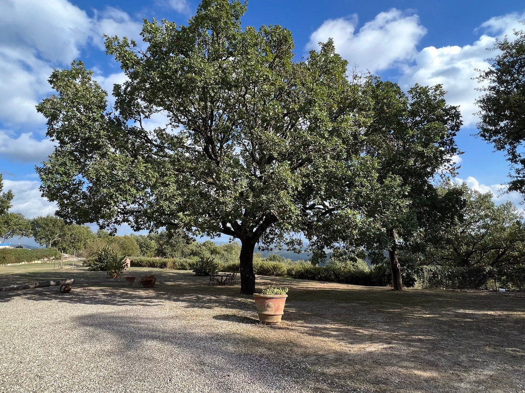Villa di Capovento主图
